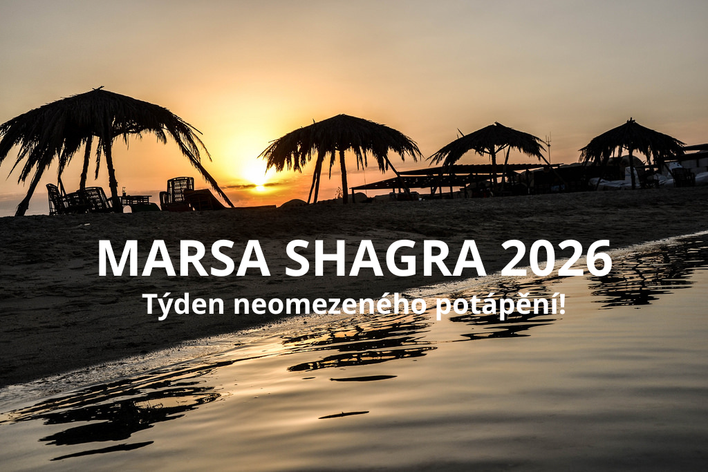 EGYPT - MARSA SHAGRA 2026!