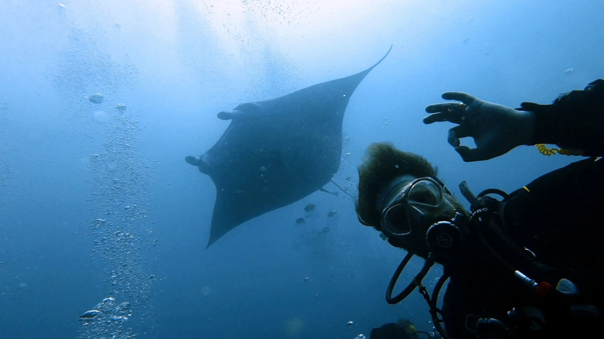 Instruktor KWS Diving ukazuje OK s mantou v pozadí